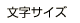 文字サイズ